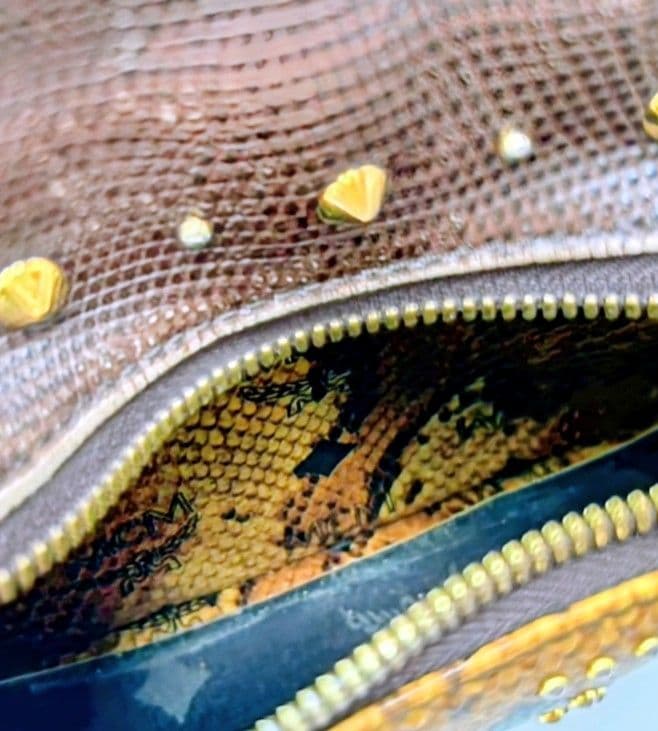 yoshiyoshi【MCM】 パイソン柄スタッズ＊バッグ ✳️特別価格