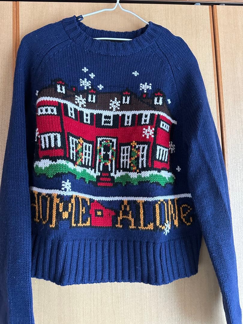 ZARA ホームアローンニット