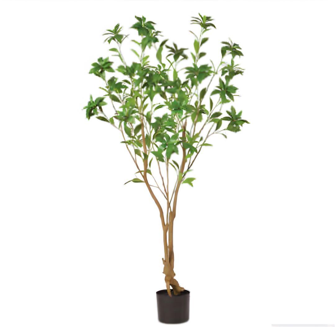 光触媒　人工観葉植物　ウォールグリーン　フェイクグリーン　アセビ150