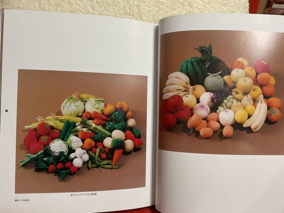 ★NHKおしゃれ工房取材　作家田中幸子　手のひらの野菜畑シリーズミニ野菜★