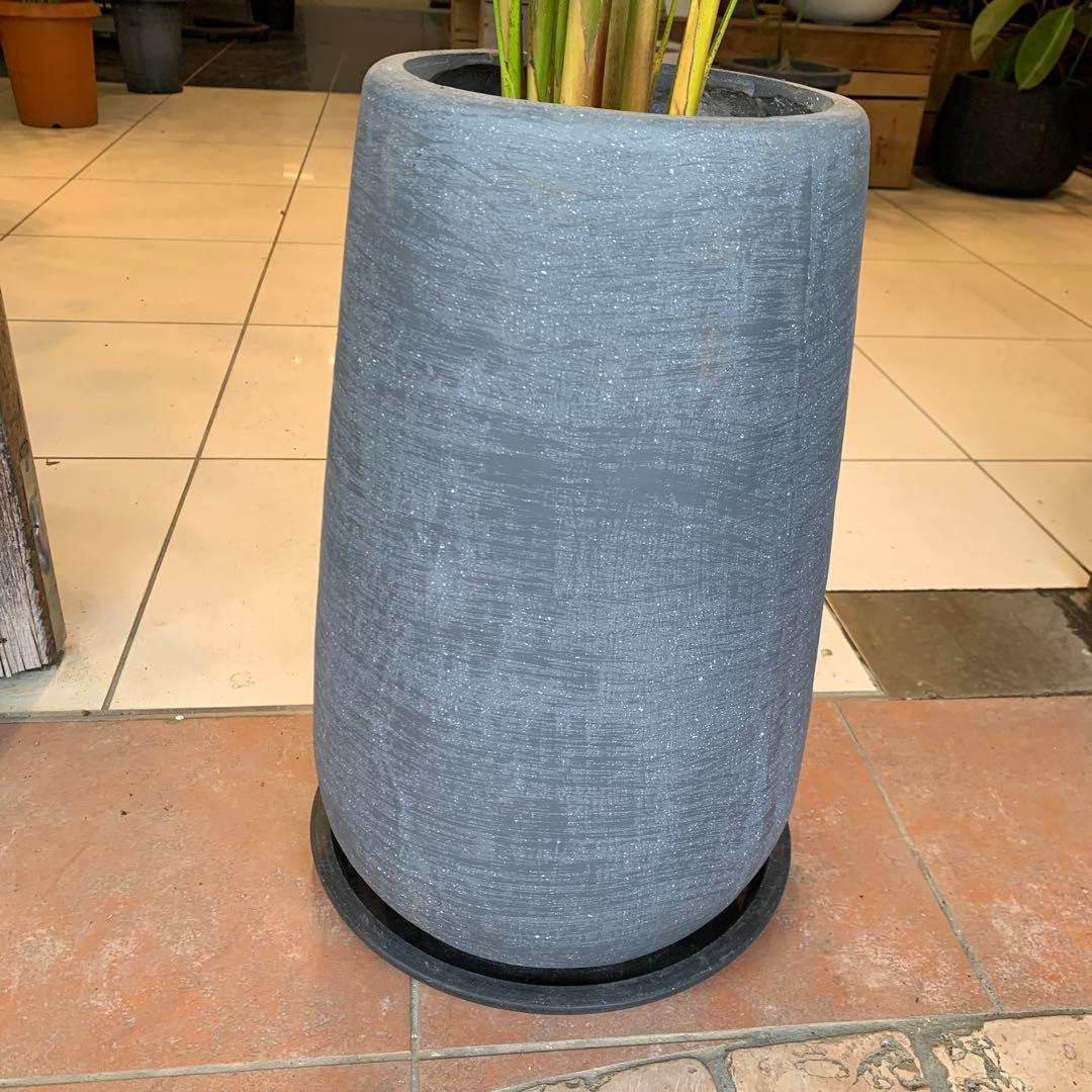 アレカヤシ ファイバー鉢 お皿付き