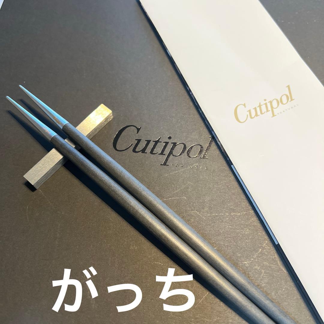 Cutipolクチポールカトラリーセットグレーシルバー箸＆箸置き合計10点箱入り