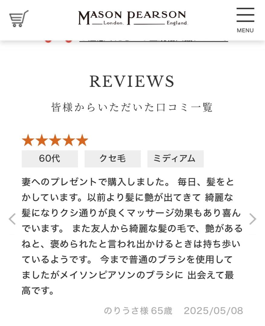 【最終値下げ 新品 定価2.3万円】メイソンピアソン★サロン帰りのようなツヤ髪へ