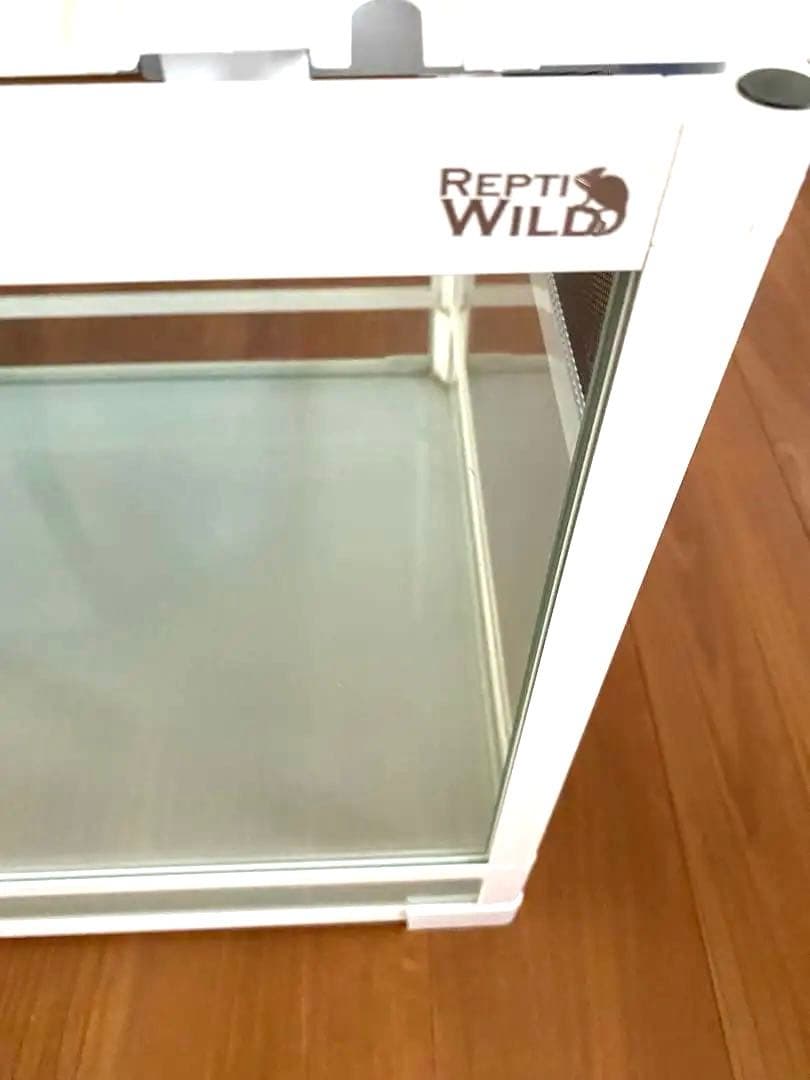 ガラス飼育ケース パンテオン ※専用ですので他の方は購入しないでください。