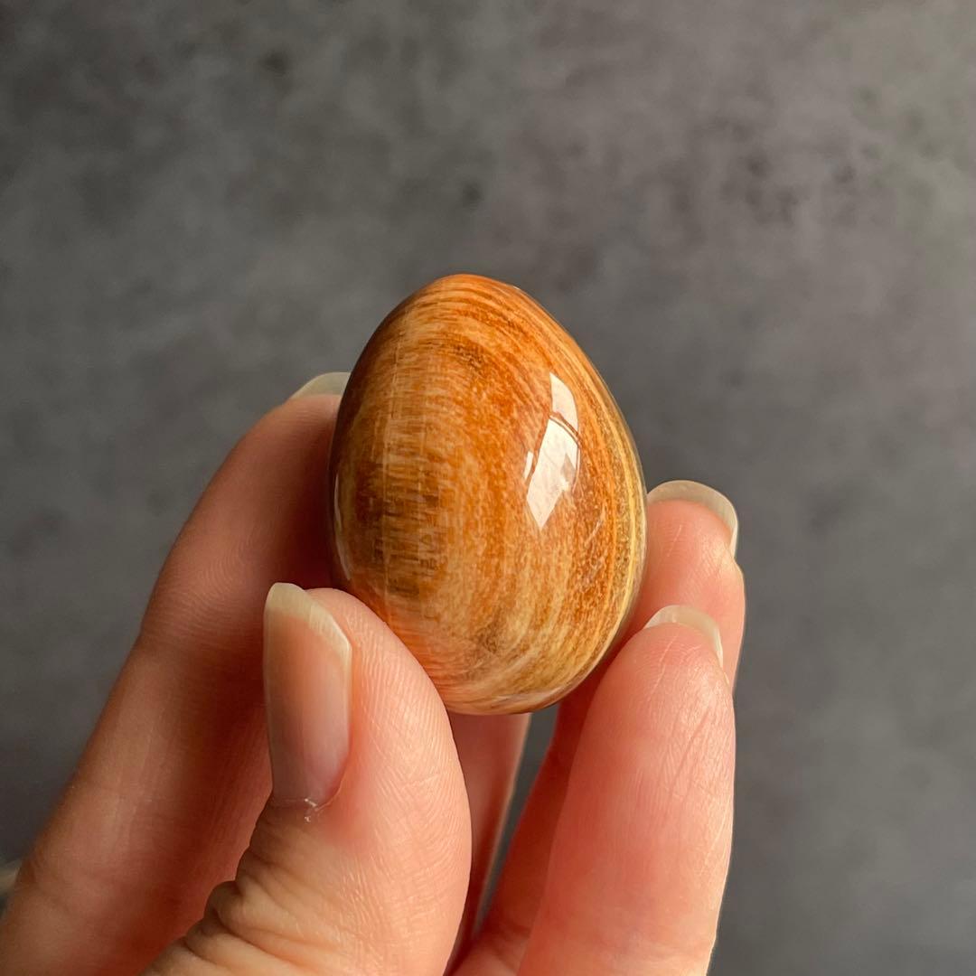 ペトリファイドウッド ミニegg 珪化木