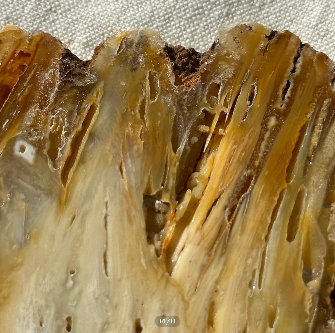 【瑪瑙】アゲート スライス シリカ化 カルセドニー × セレナイト