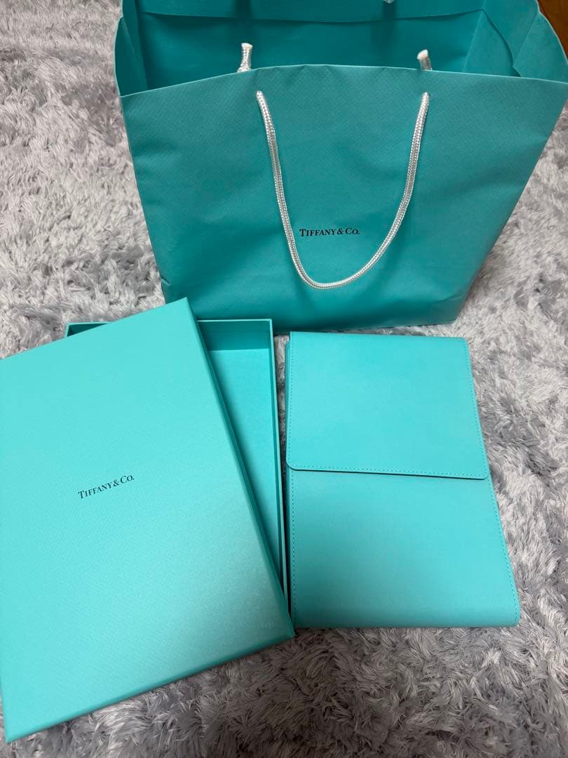 【Tiffany&Co.】グラジュエイテッド リンク ネックレス【ティファニー】