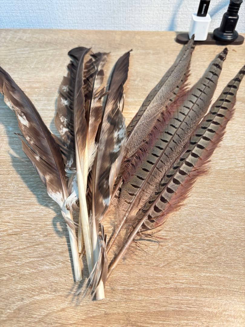 茶道具 羽箒 白鳥 風炉 茶道　羽20本セット