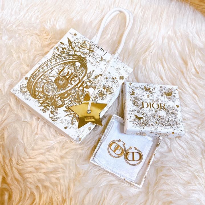 【美品】希少 Dior ディオール ピアス ゴールド ロゴ 箱セット プレゼント
