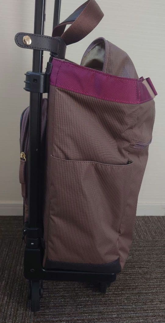 【SWANY/スワニー】キャリーバッグ/グレージュ/ルバンド/D-330