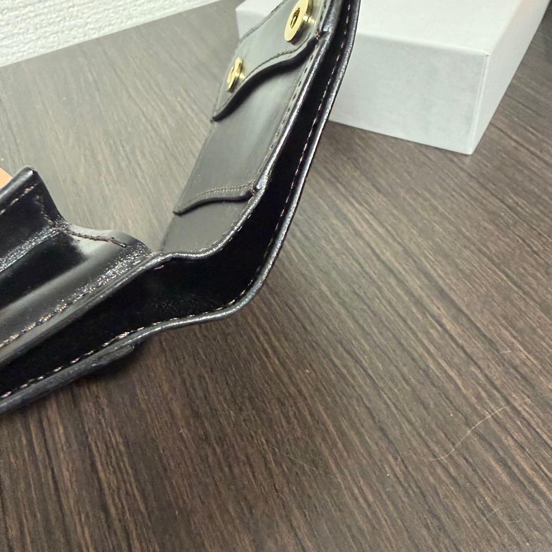 【美品】ワイルドスワンズ　CROCODILE / PALM-V2 ブラック