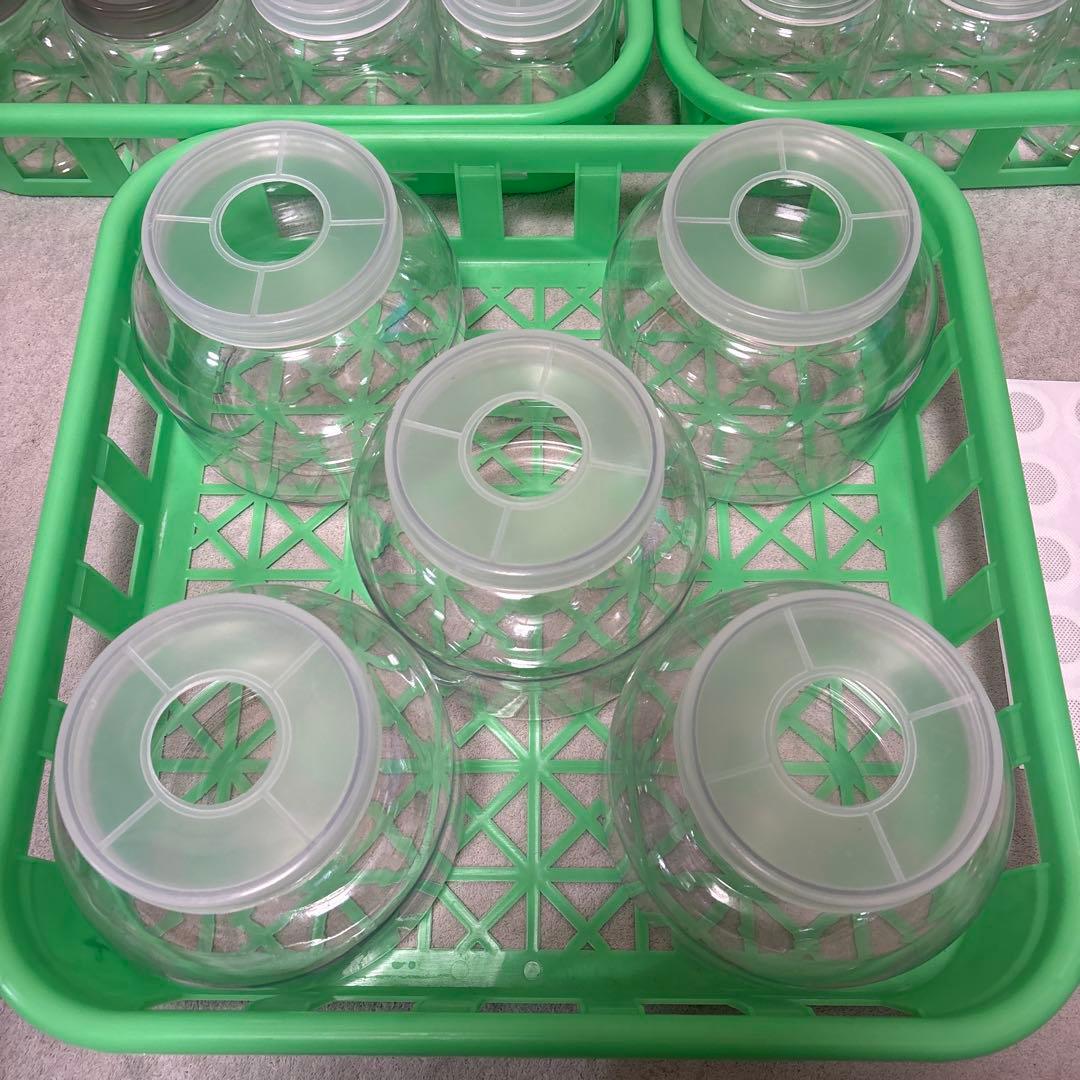 菌糸ボトル 800～830cc 32本 2300cc 5個 コンテナ3枚 まとめ