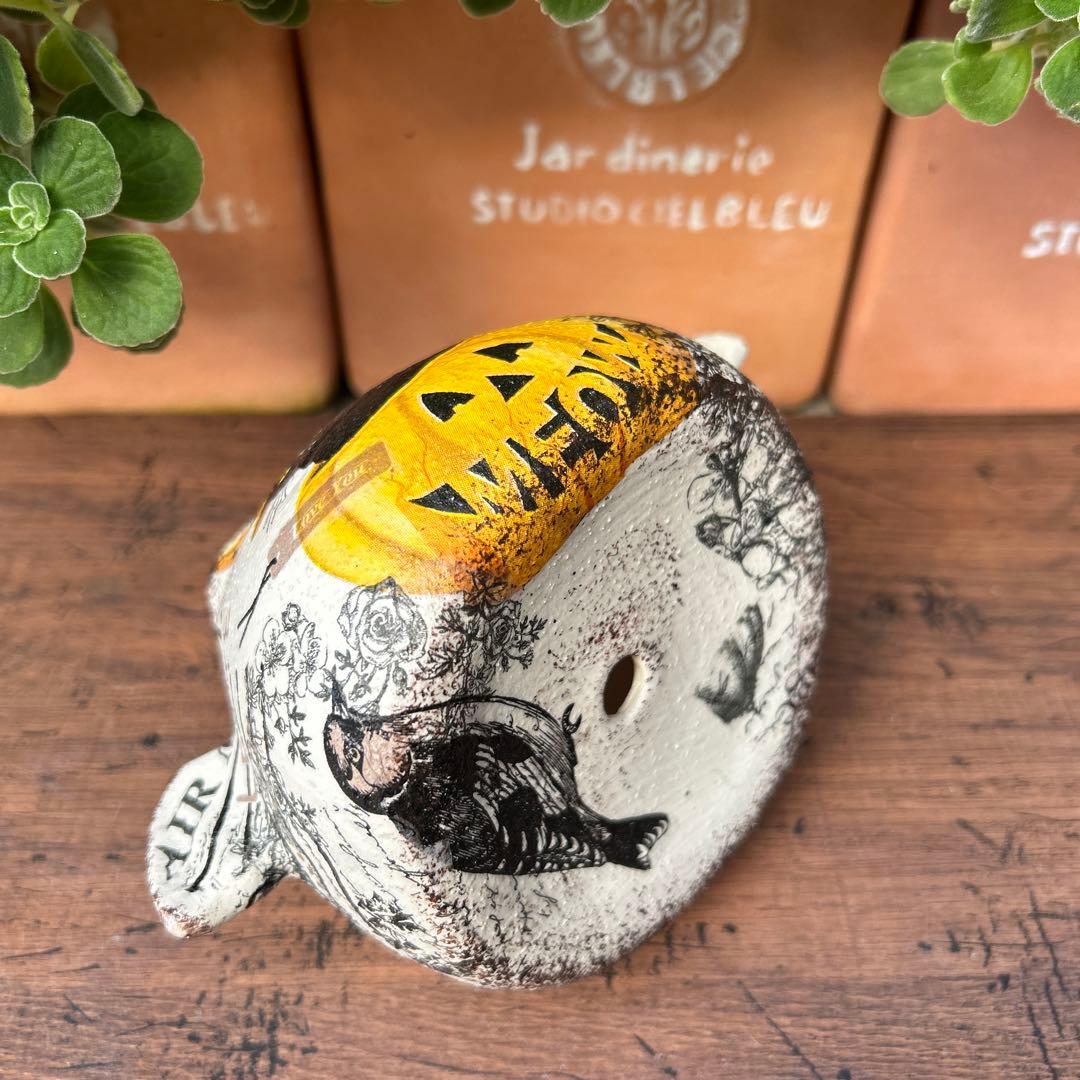 ご購入済み　リメイク鉢　ハロウィン　コウモリ鉢　 黒猫とジャック.オ.ランタン