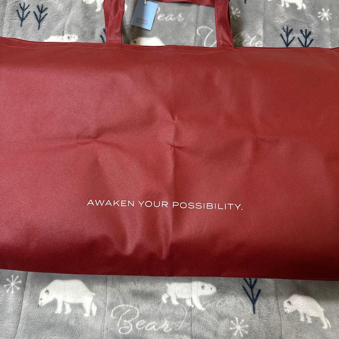 BRAIN SLEEP STANDARD ピロー ミディアムサイズ