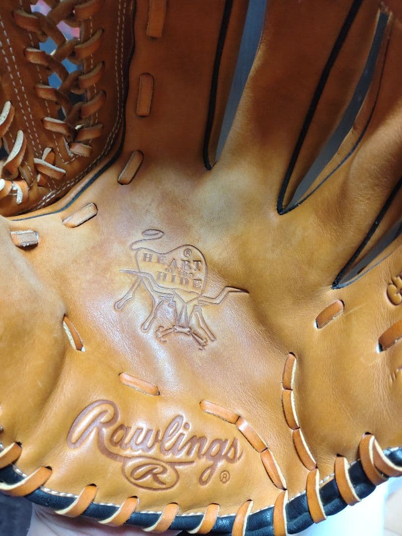 さかなくんローリングスグローブ