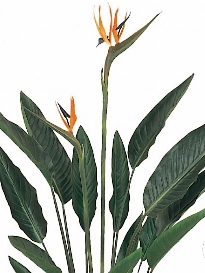 光触媒　人工観葉植物　ウォールグリーン　フェイクグリーン　ストレチア極楽鳥花付き