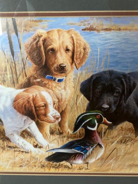 お値下げ❤️子犬（ラブ、ゴールデン、スパニエル）と鴨　額縁入