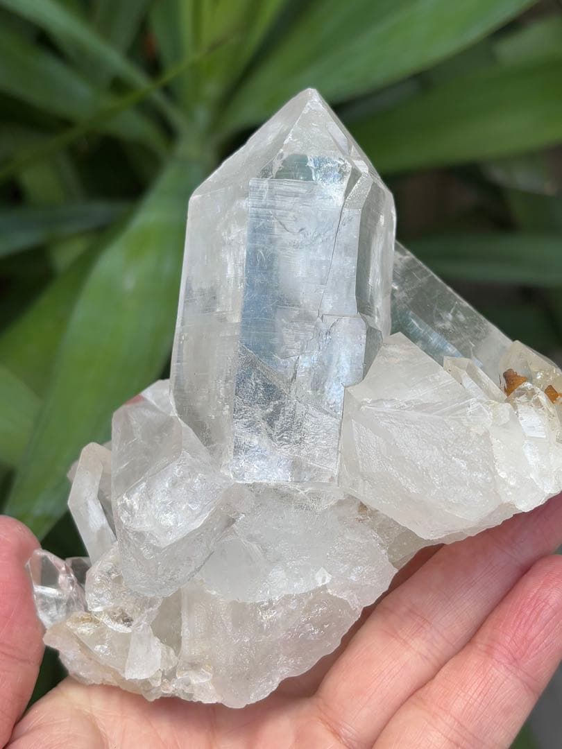 インド　マニハール水晶クラスター　636g クローライト　透明度　ヒマラヤ水晶