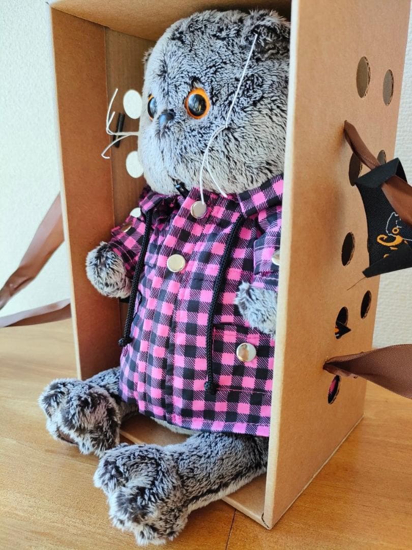 【BBB104】22cm ブディーバーサ　猫のぬいぐるみ バーシック