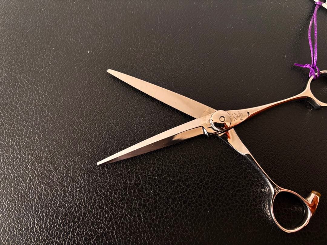 【新春セール】新品 未使用 ハイネッタ シザー レミートップ 206