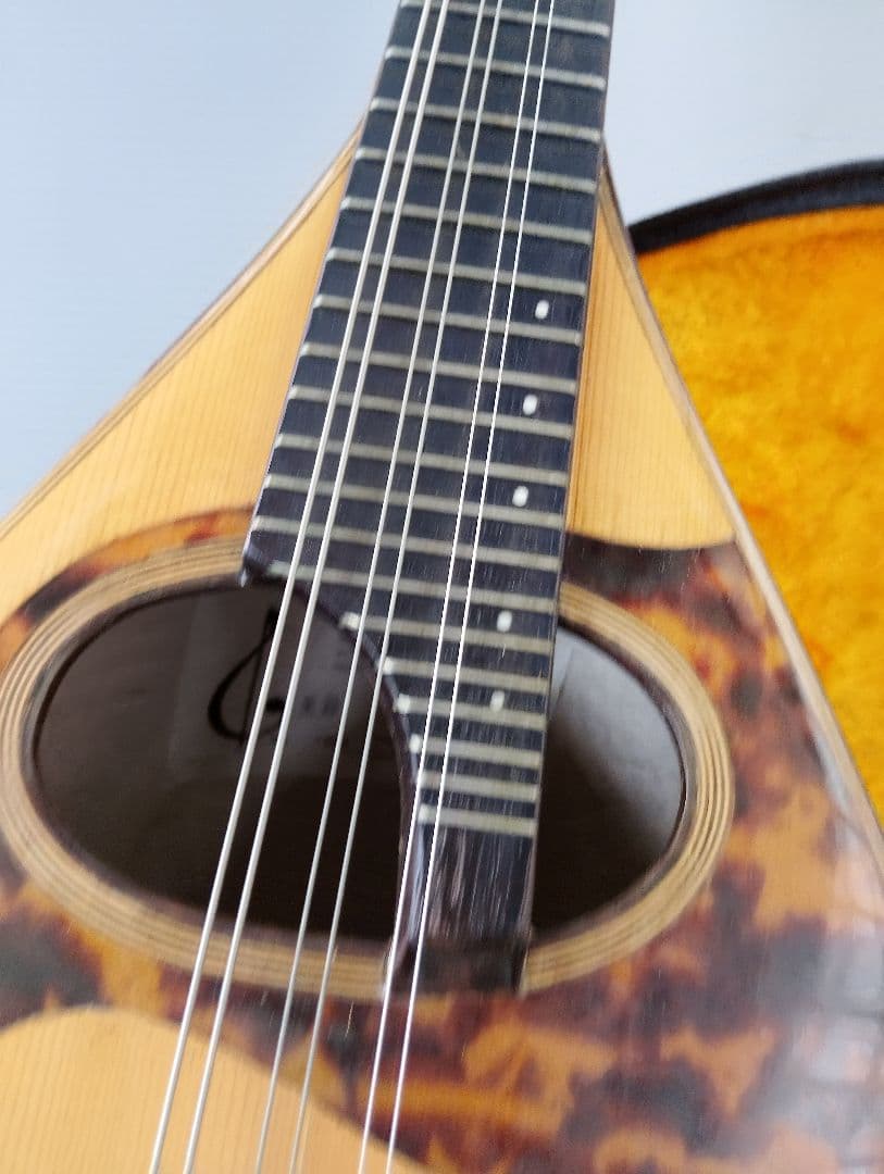 マンドリン監修者: 野口 実(あ13)