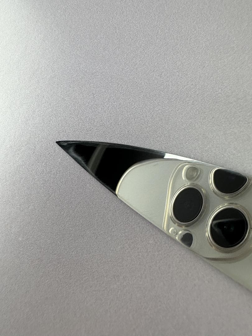 5620 極薄柳刃包丁 尺 世界一薄い ウルトラ鏡面仕上げ 黄檀上下黒水牛八角柄