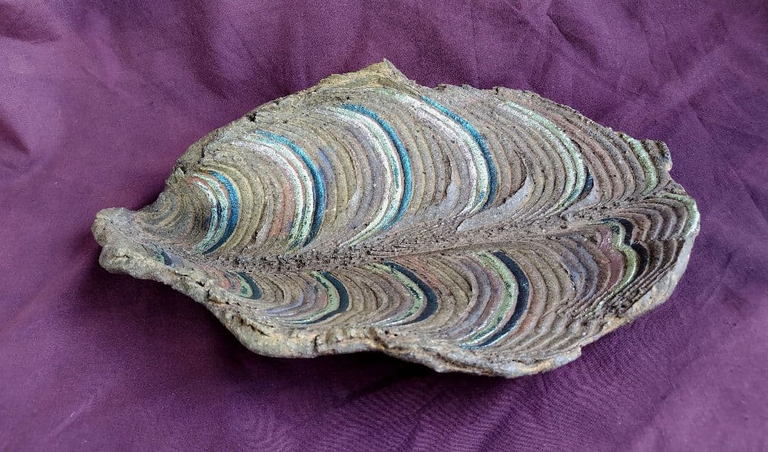 葉化石皿 (杉浦康益 作)