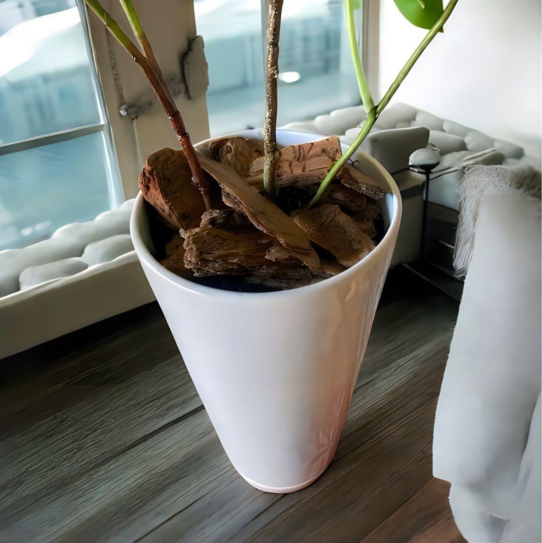 光触媒　人工観葉植物　ウォールグリーン　フェイクグリーン　サバンナバオバブ