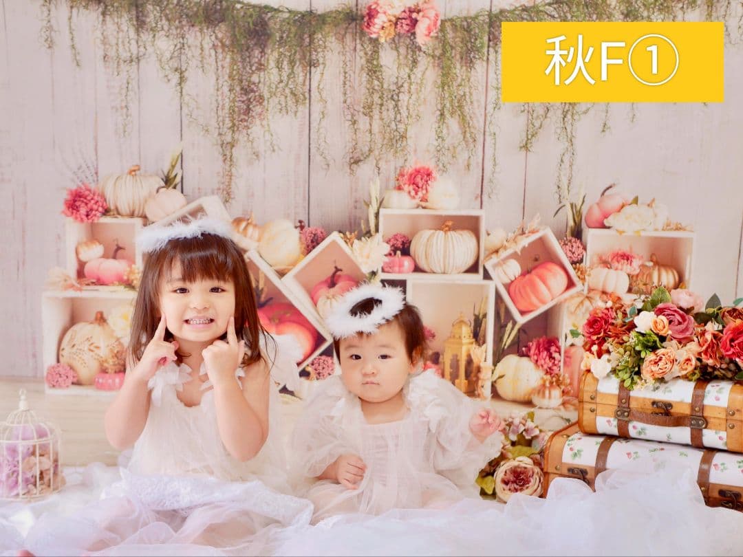 背景布　【　屋内F　】　サンプル　ニューボーンフォトなどに♪