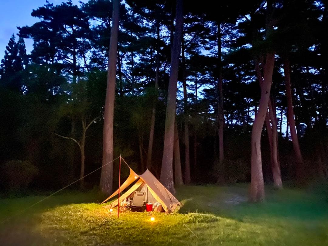 パンダtc+ シルスtc セット販売