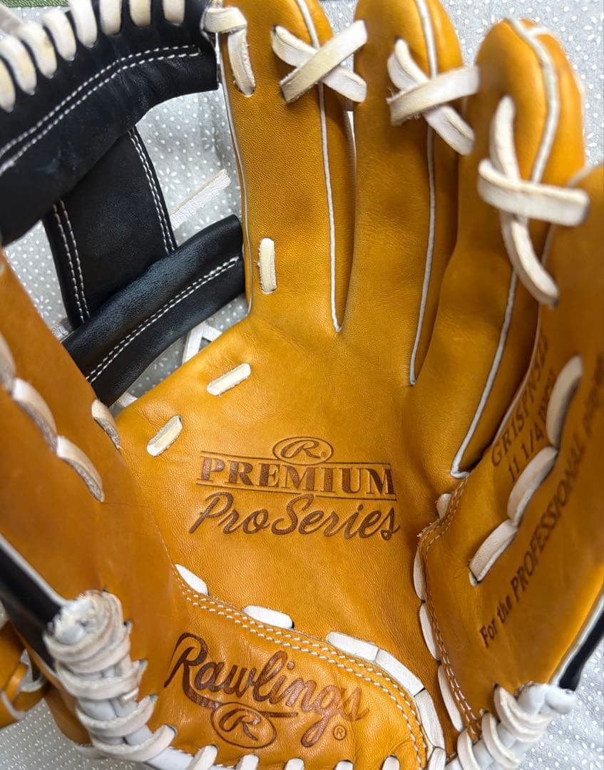 Rawlings 軟式グローブ THE GOLD GLOVE