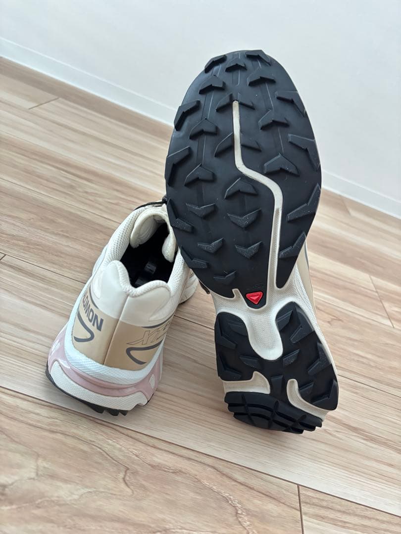 サロモン Salomon XT-6 ゴアテックス