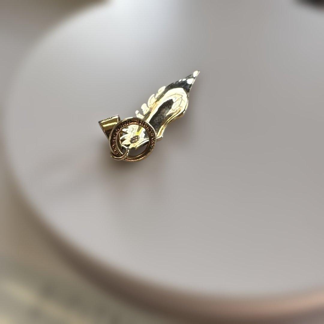 AVALANCHE 10K イエローゴールド ペンダント Mサイズ 羽 フェザー