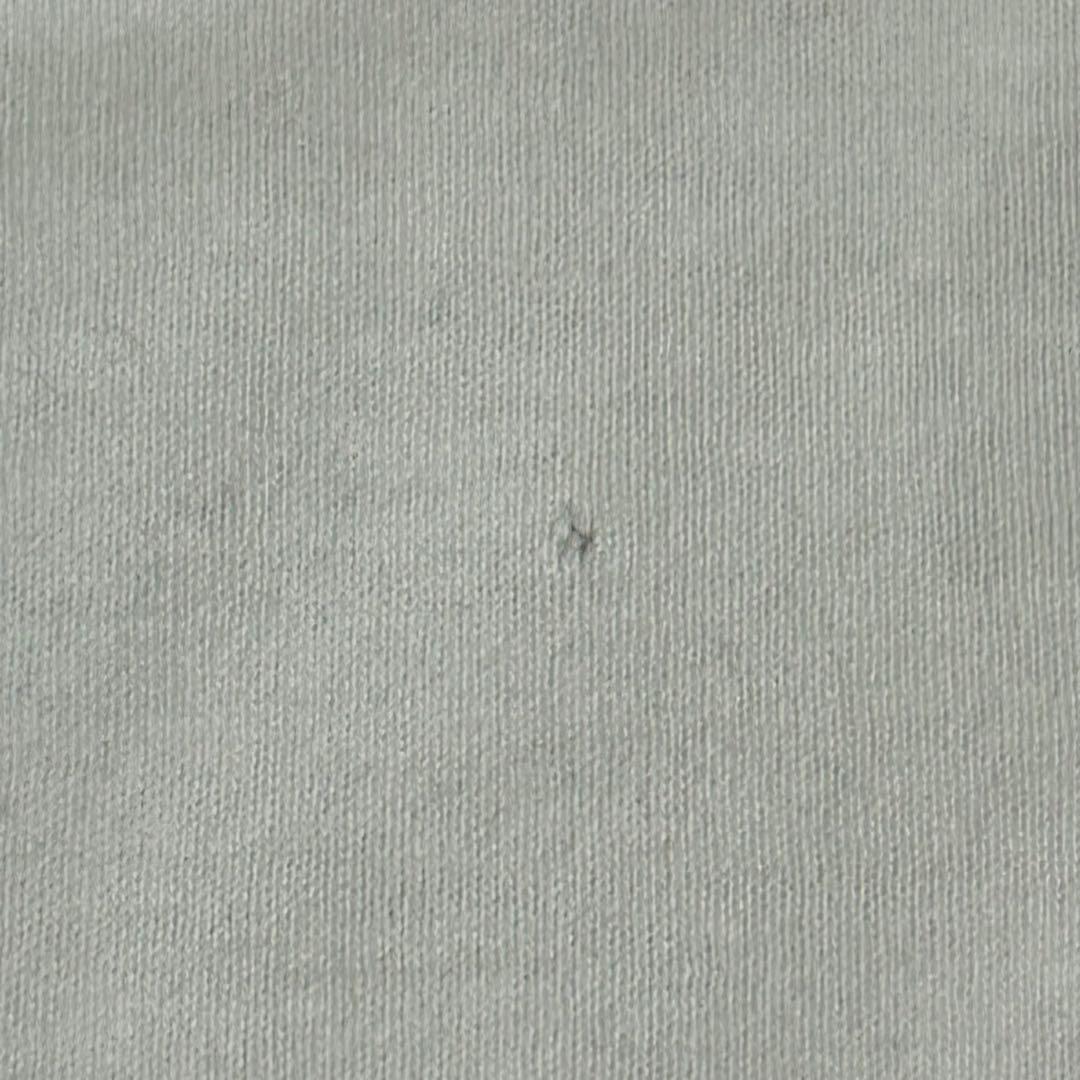 90s- WEST COAST CHOPPERS フレイム　ロングスリーブ　T