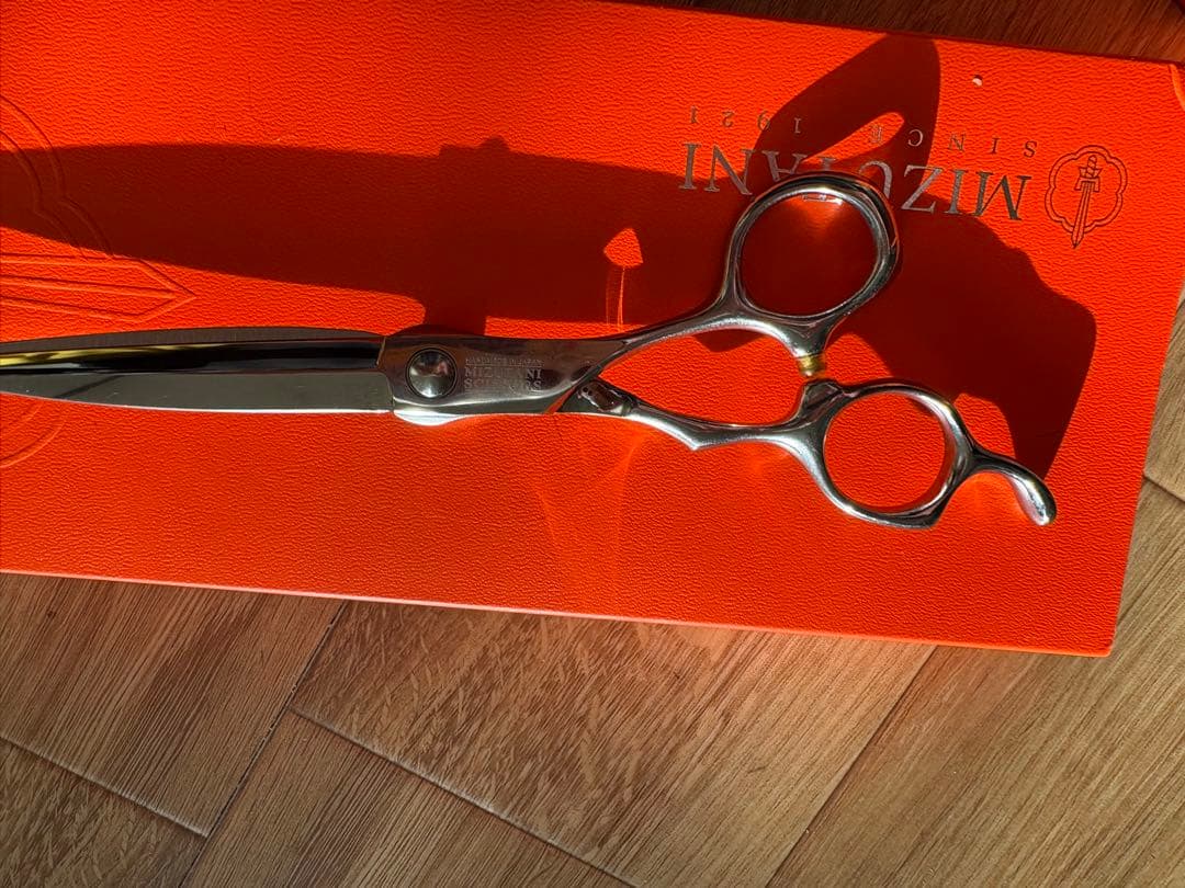 ミズタニシザー