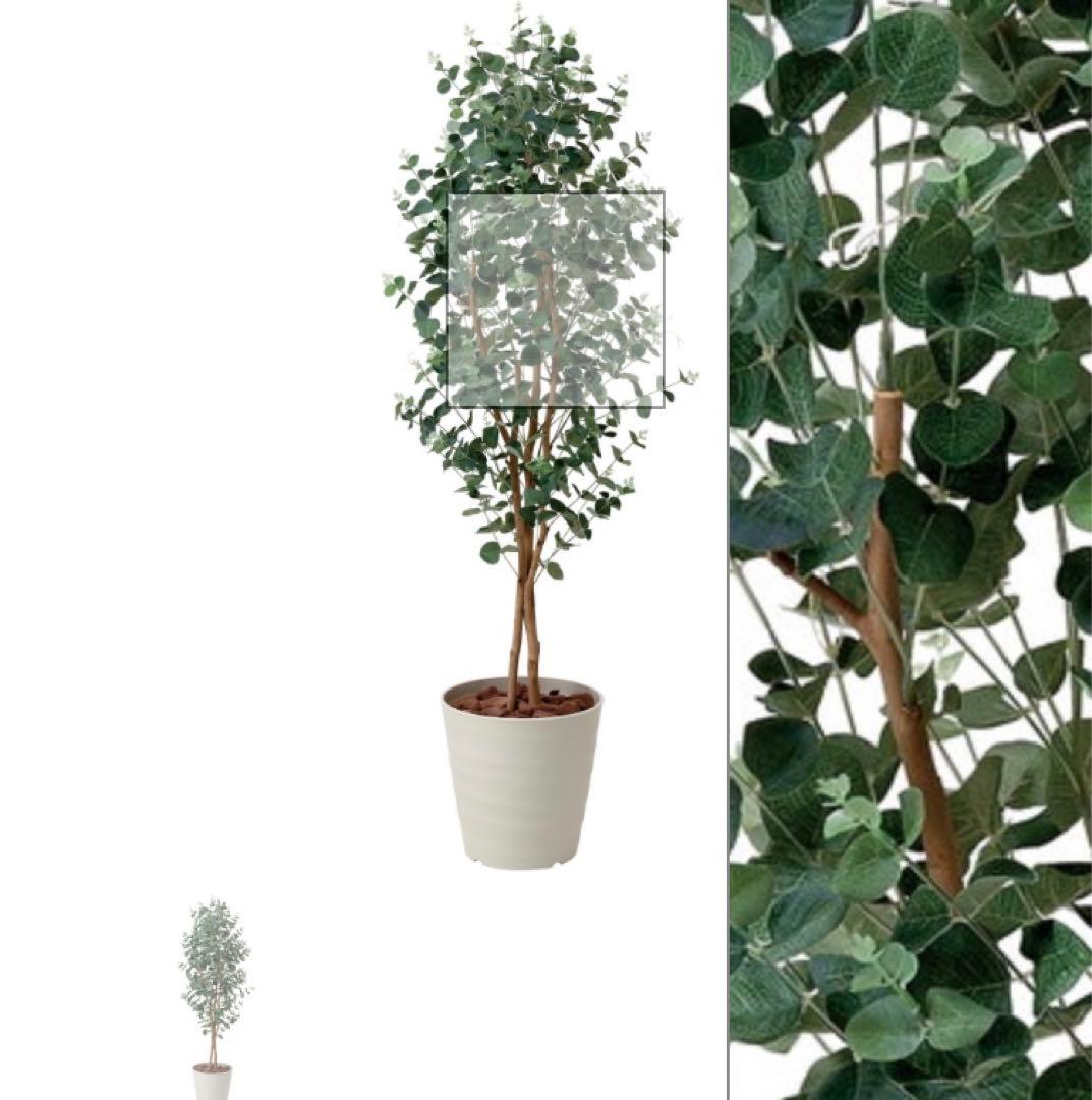 光触媒　人工観葉植物　ウォールグリーン　フェイクグリーン　ユーカリ160