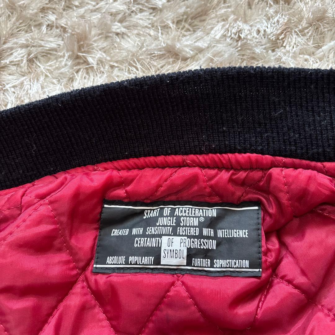 START OF ACCELERATION スカジャン　刺繍