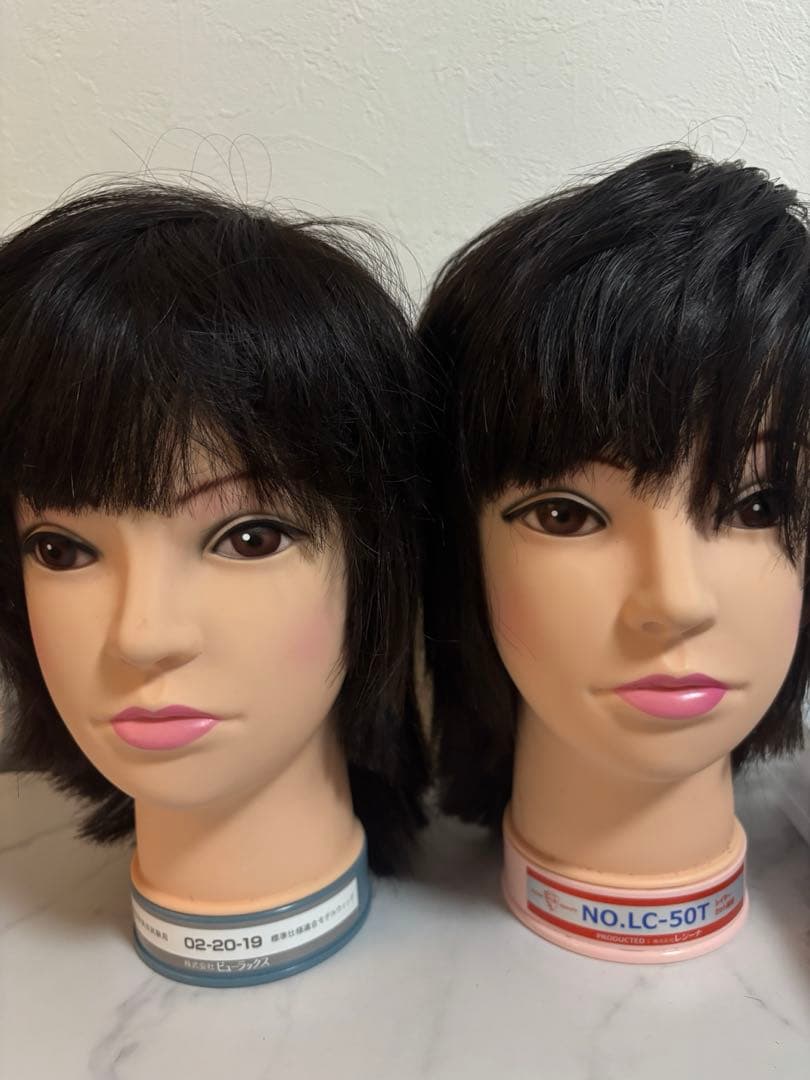 美容学校　国家試験　カットウィッグ付き