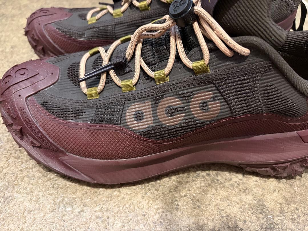 ナイキ ACG MOUNTAIN FLY 2 LOW GORE-TEX
