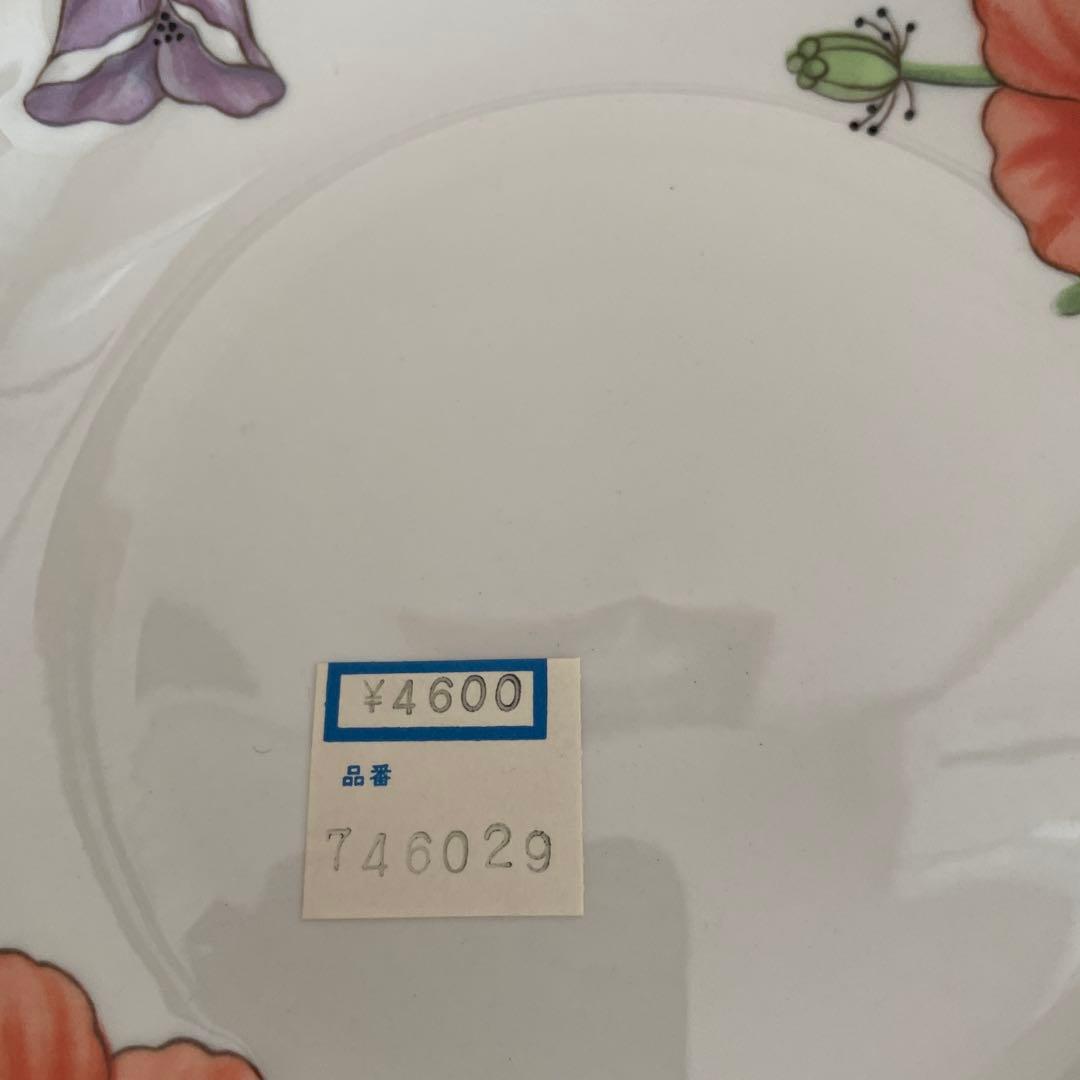 ビレロイ&ボッホ　アマポーラ　直径20.5cm高さ4cmの深皿５枚　新品未使用