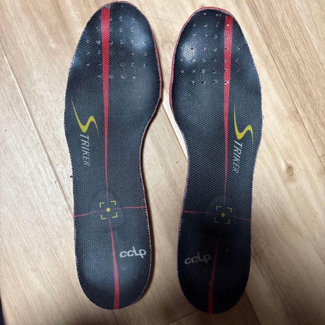 モレリア2ジャパン