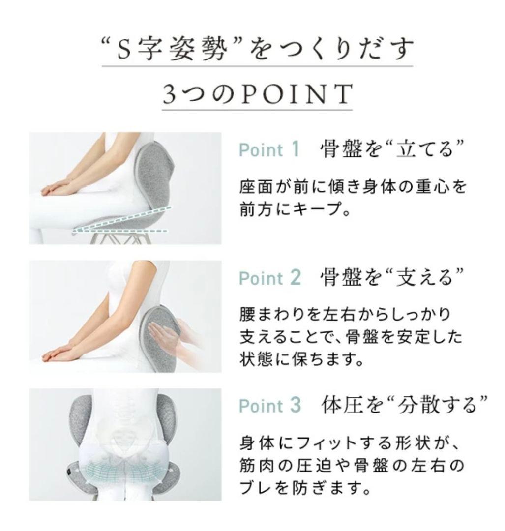 Style Chair SM スタイルチェア