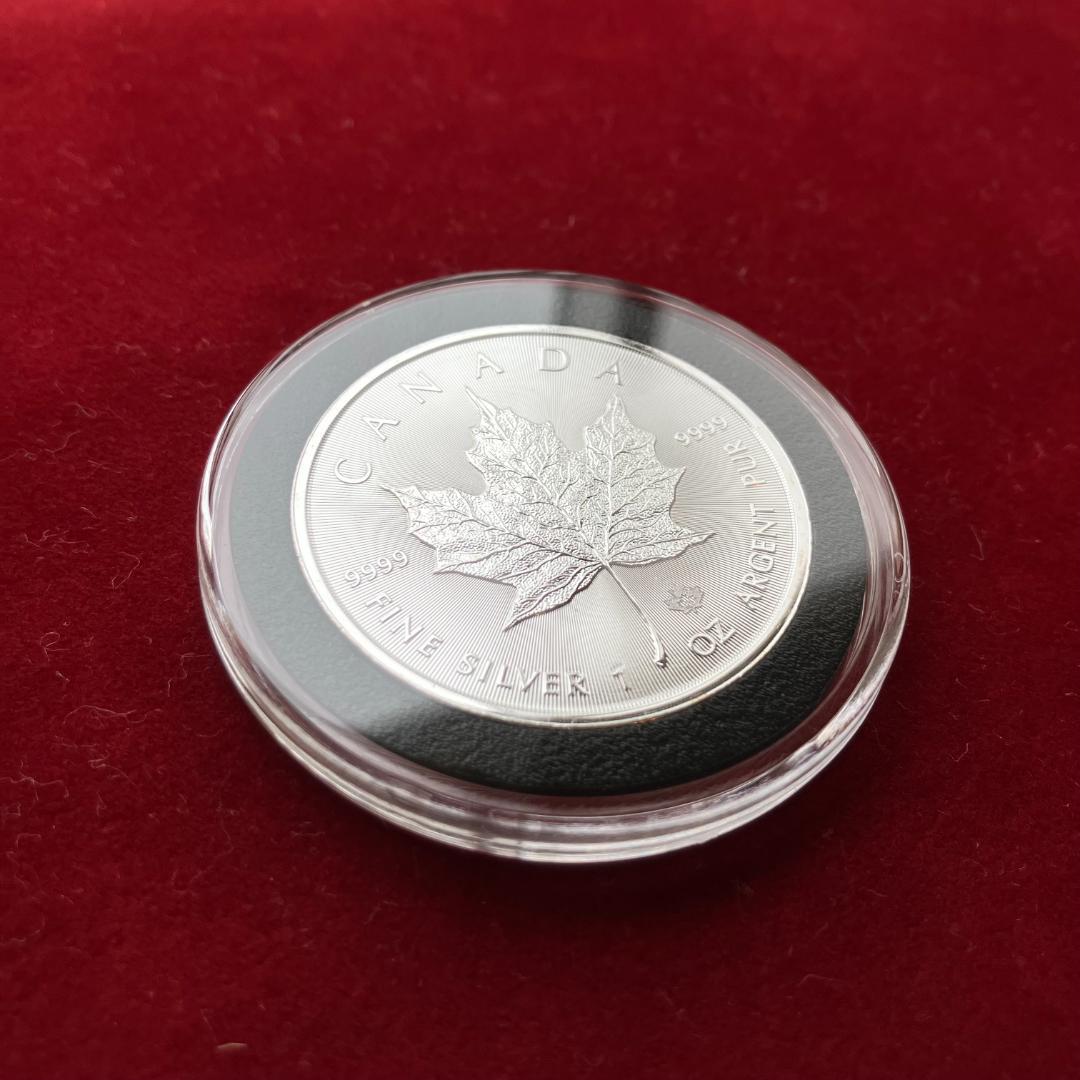 20枚◇2021年 カナダ「メイプルリーフ」1オンス 銀貨