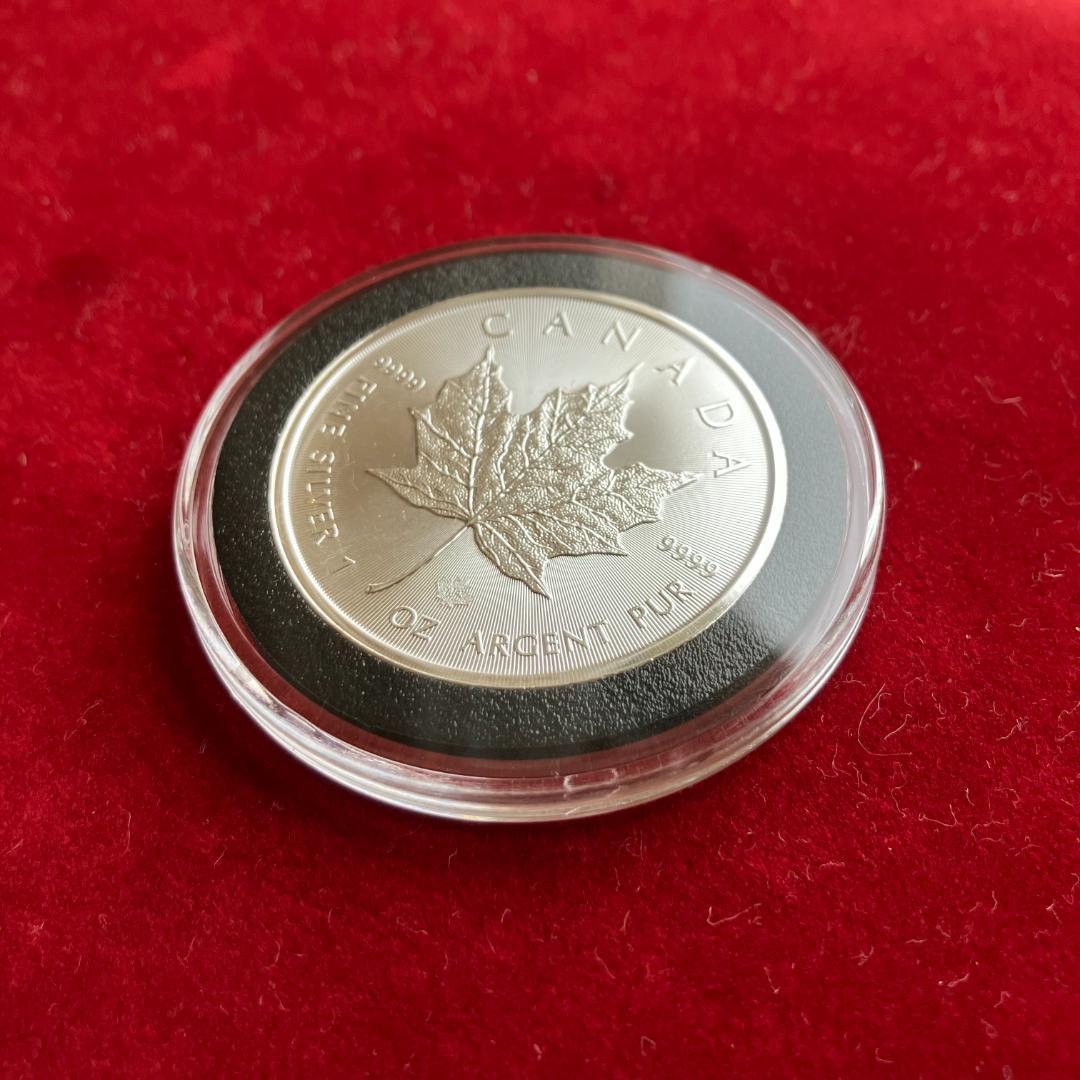 20枚◇2021年 カナダ「メイプルリーフ」1オンス 銀貨