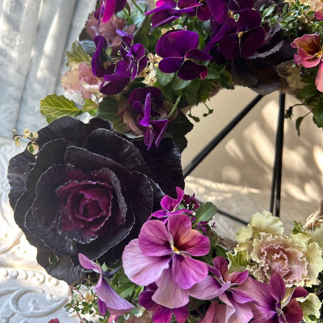 大人シックなハボタンリース