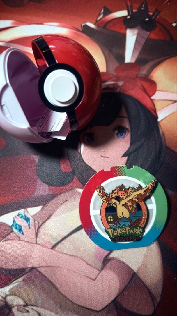 ポケパーク　カントー　ファイヤー　ピンバッジ　ピンズ