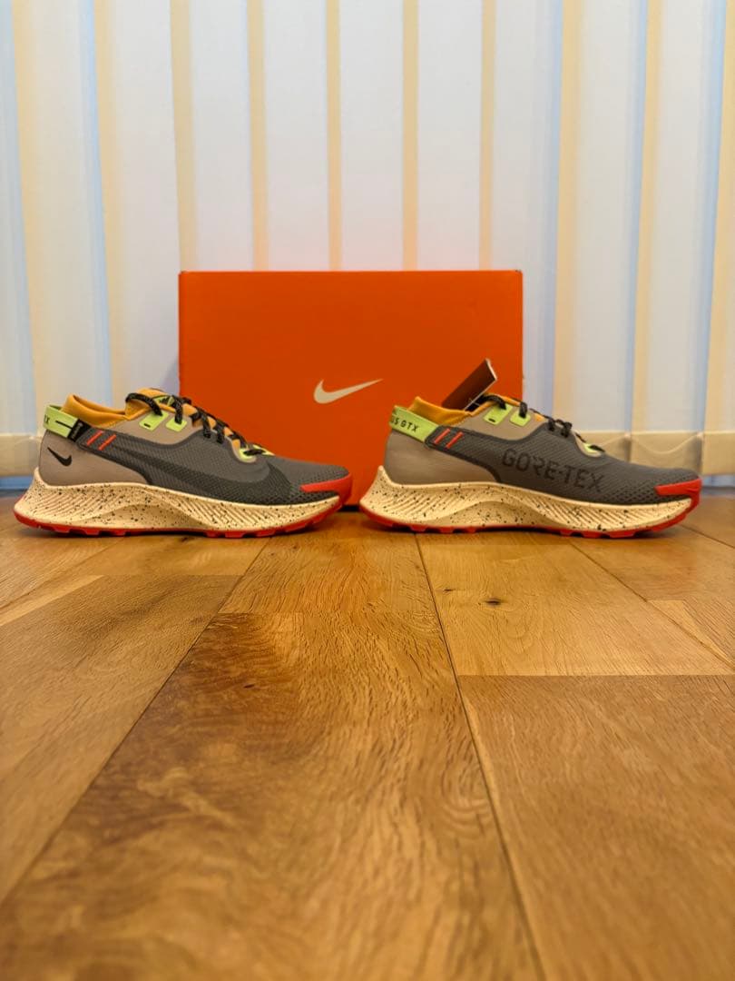 靴 Nike Pegasus Trail 2 GTX 25.5cm(US7.5)