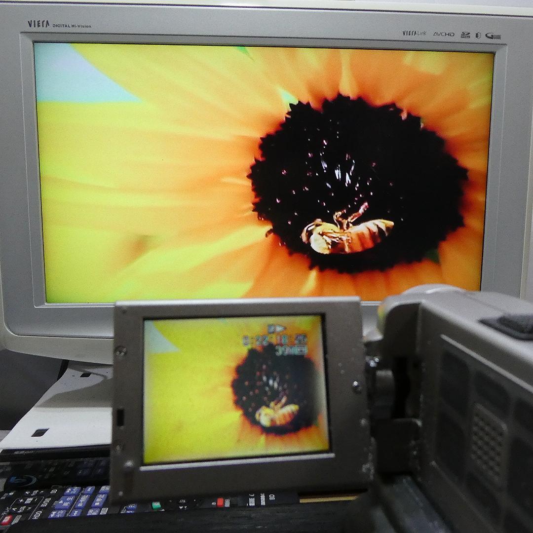 動作品 ソニーDCR-PC7 MiniDV ビデオカメラ DVDダビングに最適