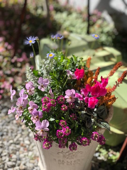 季節のお花寄せ植え  グラスファイバー